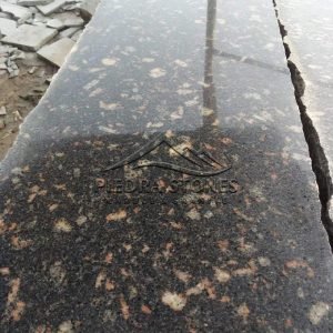 اسود اسوانى